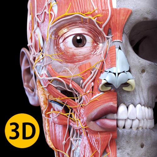 Anatom&iacute;a - Atlas 3D